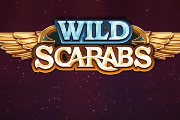 07966 wild scarabs