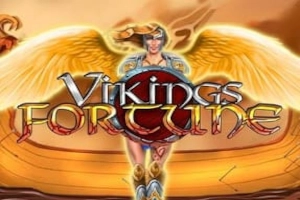 25222 vikings fortune